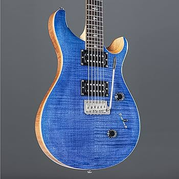 Paul Reed Smith PRS SE custom24 ギグバック付き PRS Paul Reed Smith SE Custom 24-08 Electric Guitar (with